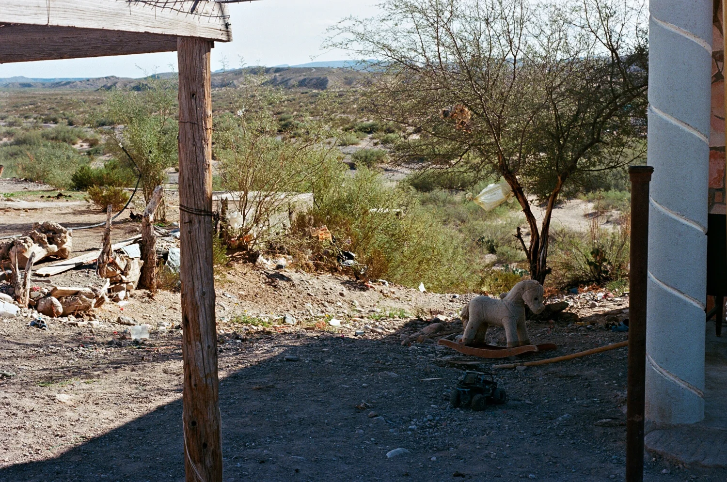 impatient_steed